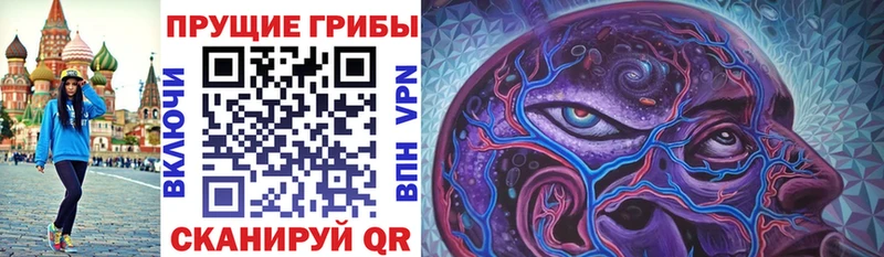 Купить закладки  Дедовск  Галлюциногенные грибы Psilocybine cubensis 