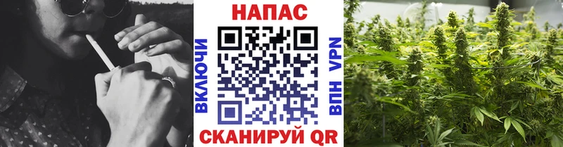 Каннабис марихуана Дедовск